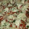 Chicken Parmesan
